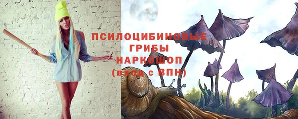 ПСИЛОЦИБИНОВЫЕ ГРИБЫ Алексин