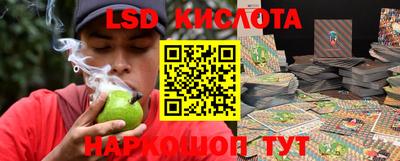 кокс Кингисепп