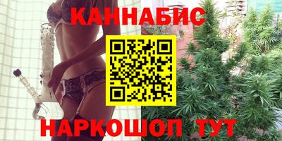 кокс Кингисепп