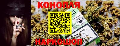 кокс Кингисепп