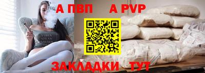 кокс Кингисепп