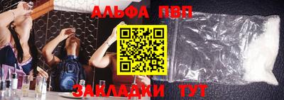 кокс Кингисепп