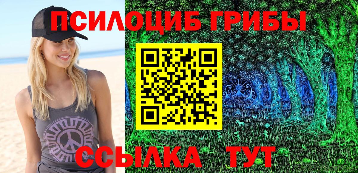 Псилоцибиновые грибы ЛСД  Вход с VPN  Моздок  Псилоцибиновые грибы прущие грибы 