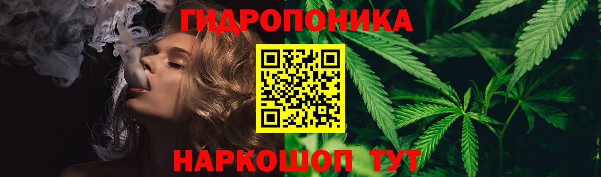 МАРИХУАНА ГИДРОПОН Моздок